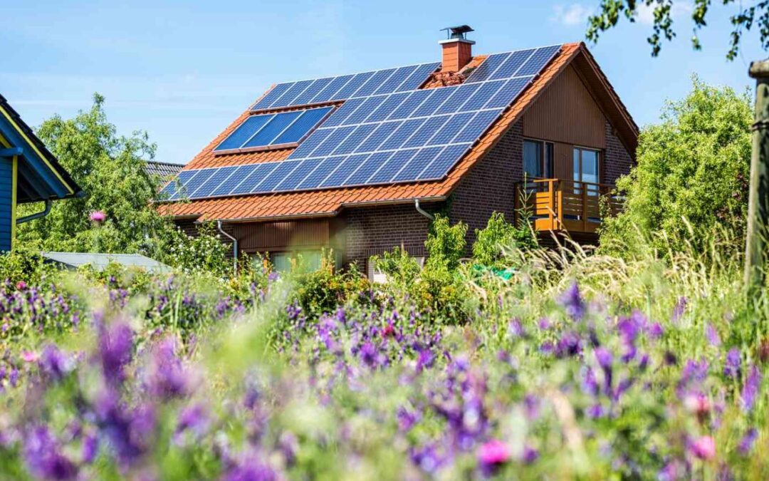 How To Choose A Solar Company And What To Look For